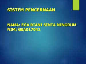 SISTEM PENCERNAAN NAMA EGA RIANI SINTA NINGRUM NIM