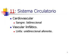 11 Sistema Circulatorio n Cardiovascular n n Sangre