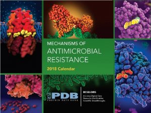 1 PDB and Antimicrobial Resistance AMR Antibiotics have