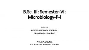 B Sc III SemesterVI MicrobiologyPI UNIT III ANTIGENANTIBODY