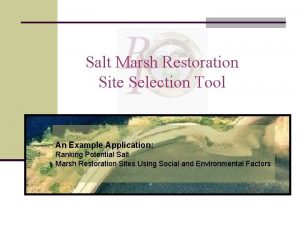 Salt Marsh Restoration Site Selection Tool An Example