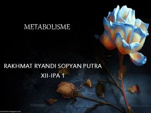 METABOLISME RAKHMAT RYANDI SOPYAN PUTRA XIIIPA 1 ENZIM