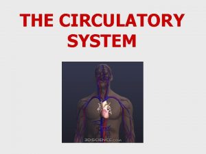 THE CIRCULATORY SYSTEM Circulatory System Heart Veins Capillaries