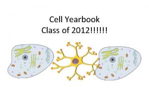 Cell Yearbook Class of 2012 Activities The Vesicle