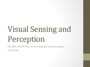 Visual Sensing and Perception ECE 383 MEMS 442