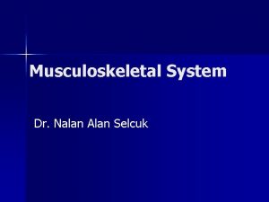 Nalan alan selçuk Nalan alan selçuk