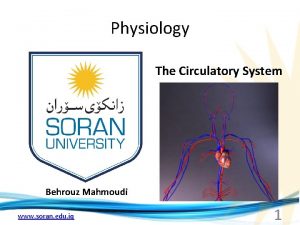 Physiology The Circulatory System Behrouz Mahmoudi www soran