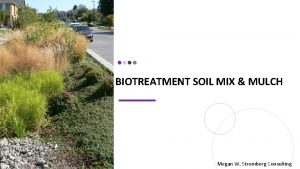 BIOTREATMENT SOIL MIX MULCH Megan W Stromberg Consulting