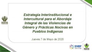 Estrategia Interinstitucional e Intercultural para el Abordaje Integral