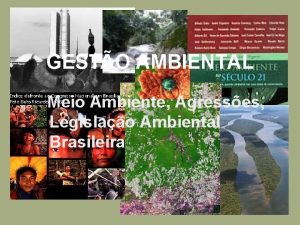 GESTO AMBIENTAL Meio Ambiente Agresses Legislao Ambiental Brasileira