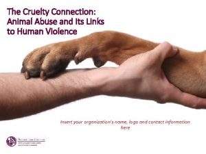 The Cruelty Connection Animal Abuse and Its Links