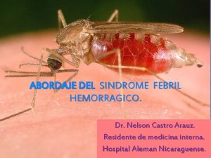 ABORDAJE DEL SINDROME FEBRIL HEMORRAGICO Dr Nelson Castro