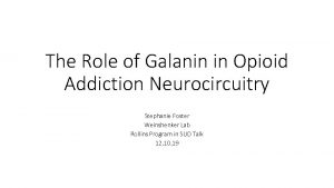 The Role of Galanin in Opioid Addiction Neurocircuitry