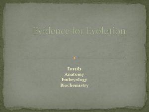 Evidence for Evolution Fossils Anatomy Embryology Biochemistry Fossils