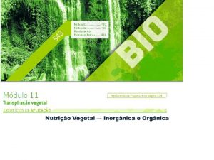 Fisiologia Vegetal Introduo A fisiologia vegetal a parte