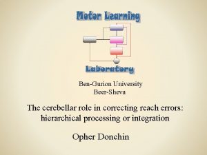 BenGurion University BeerSheva The cerebellar role in correcting