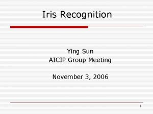 Iris Recognition Ying Sun AICIP Group Meeting November