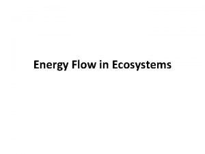 Energy Flow in Ecosystems How does energy flow