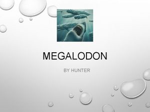 MEGALODON BY HUNTER ANSWERS TODAY IM GOING TO