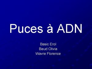 Puces ADN Basic Erol Baud Olivia Wavre Florence