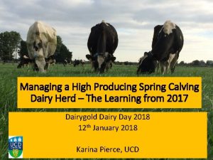 Managing a High Producing Spring Calving Dairy Herd