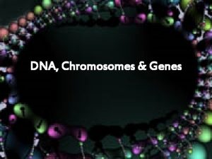 DNA Chromosomes Genes GENOME The nucleus of a