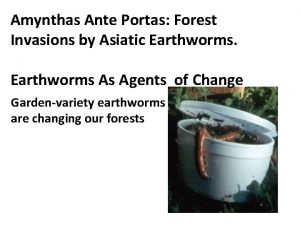 Amynthas Ante Portas Forest Invasions by Asiatic Earthworms