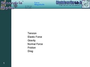 Force Magnitude Tension Elastic Force Gravity Normal Force