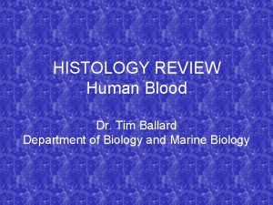 HISTOLOGY REVIEW Human Blood Dr Tim Ballard Department