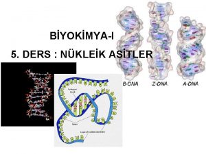 BYOKMYAI 5 DERS NKLEK ASTLER NKLEK ASTLER DNA