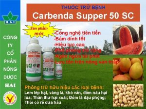THUC TR BNH Carbenda Supper 50 SC Sn