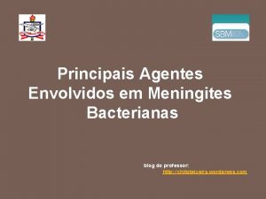 Principais Agentes Envolvidos em Meningites Bacterianas blog do