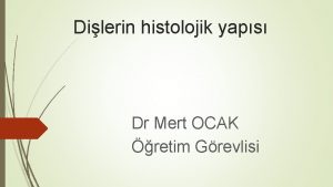 Dilerin histolojik yaps Dr Mert OCAK retim Grevlisi