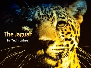 The Jaguar By Ted Hughes Ted Hughes This