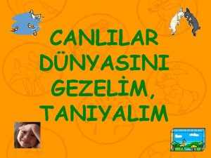 Suda yaşayan omurgalı hayvanlar