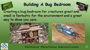 Building A Bug Bedroom Creating a bug bedroom