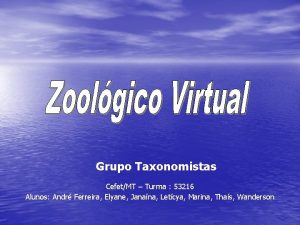 Grupo Taxonomistas CefetMT Turma 53216 Alunos Andr Ferreira