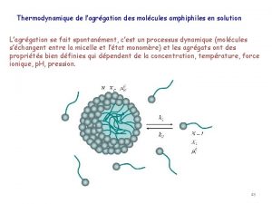 Thermodynamique de lagrgation des molcules amphiphiles en solution