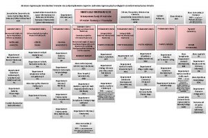 Struktura organizacyjna Ministerstwa Finansw oraz podporzdkowanie organw i
