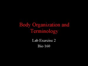 Body organization and terminology lab 2