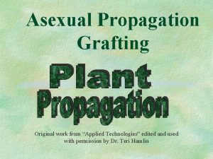 Asexual Propagation Grafting Original work from Applied Technologies