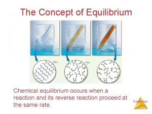 The Concept of Equilibrium Chemical equilibrium occurs when