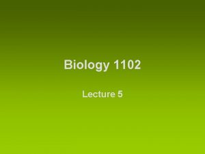Biology 1102 Lecture 5 Slide 2 Coelomates Slide