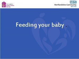 Feeding your baby Supporting your babys brain development