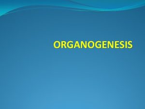 ORGANOGENESIS ORGANOGENESIS Plant regeneration by tissue culture techniques
