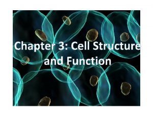 Chapter 3 Cell Structure and Function Cell Theory