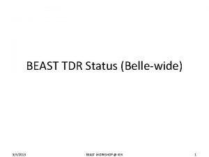 BEAST TDR Status Bellewide 392013 BEAST WORKSHOP KEK