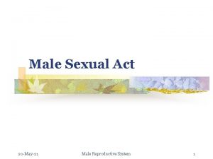 Male Sexual Act 20 May21 Male Reproductive System