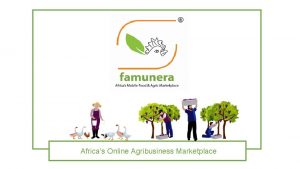 Africas Online Agribusiness Marketplace The Problem Smallholder farmers