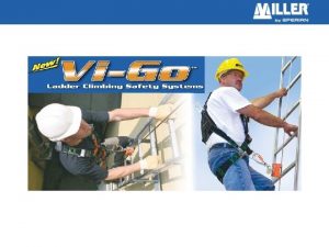 Vi go ladder climbing safety systems